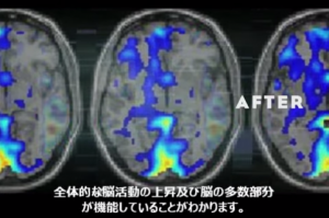 英語速読 訓練後　脳の状態